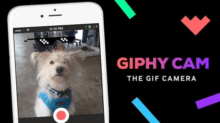 giphy labs